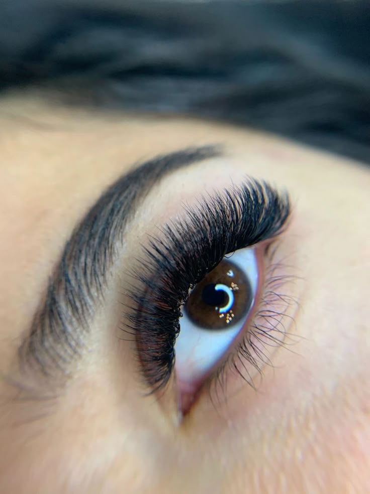 Eyelash extension